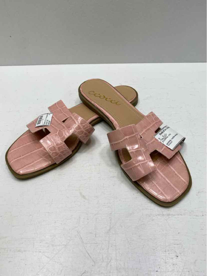 Ccocci 6 Flats