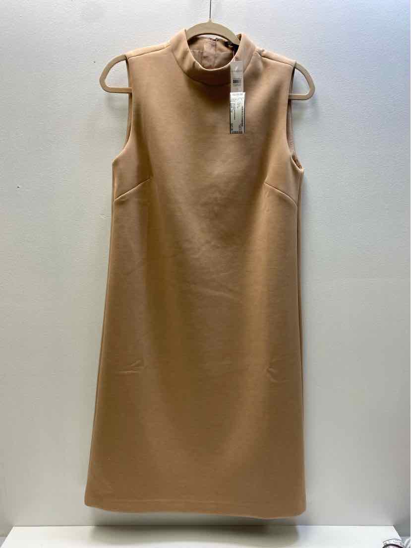 ann taylor Size 12 Dress