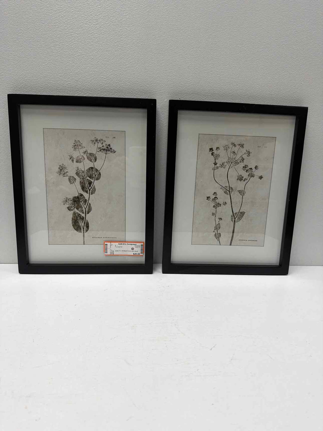 Framed Art