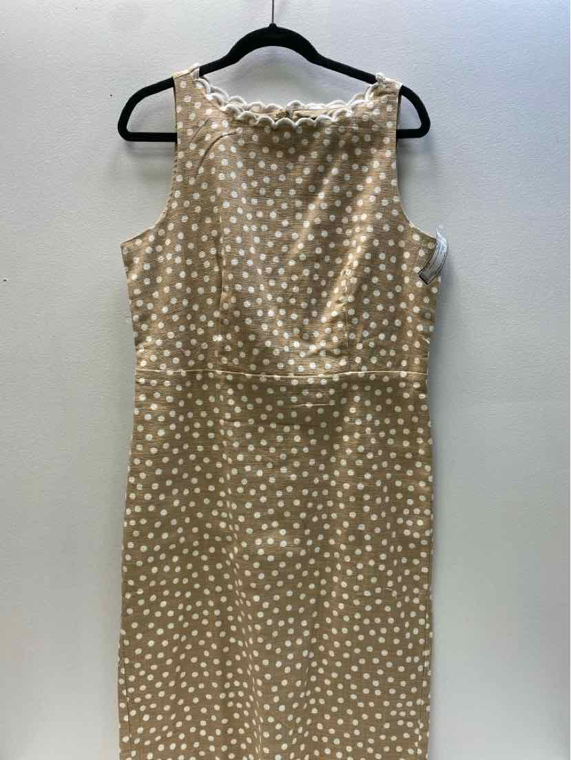 ann taylor Size 12 Dress