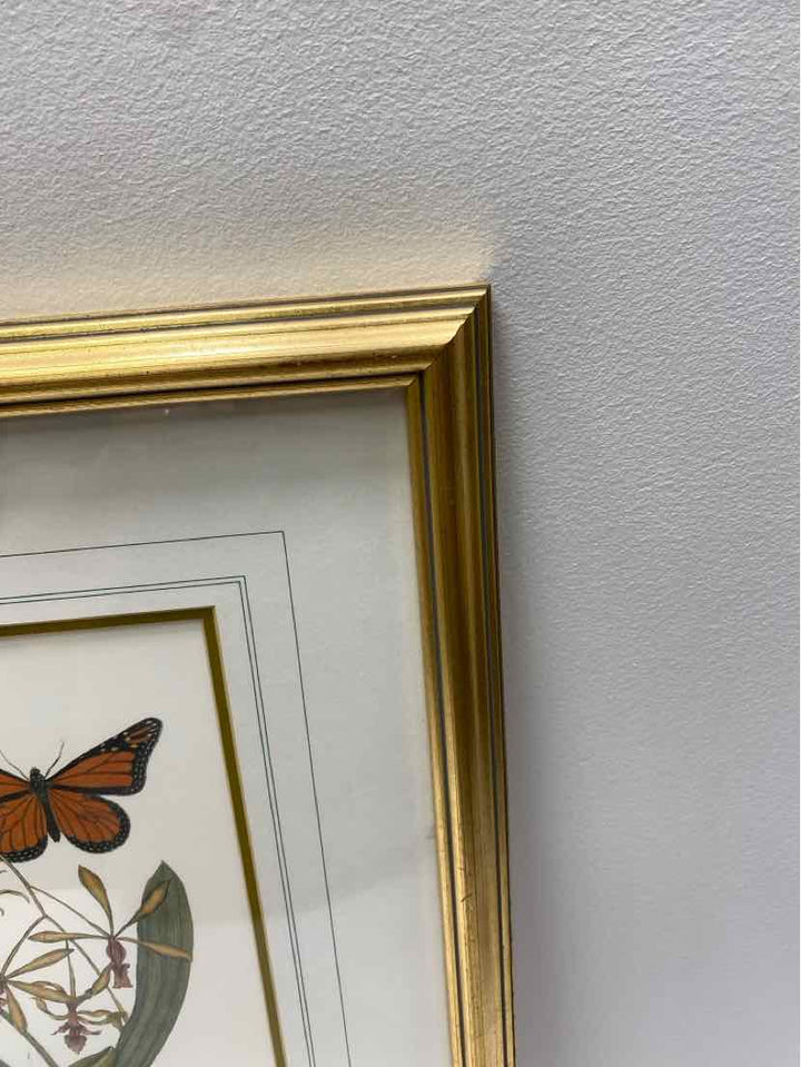 Framed Art
