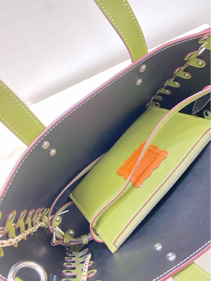 Coachtopia Purse