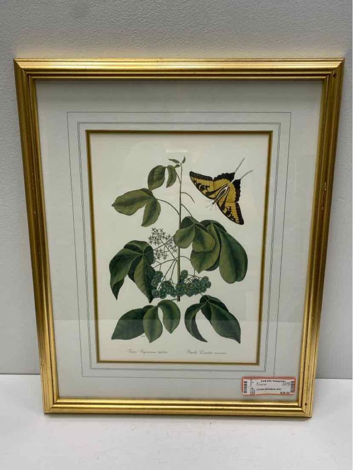 Framed Art
