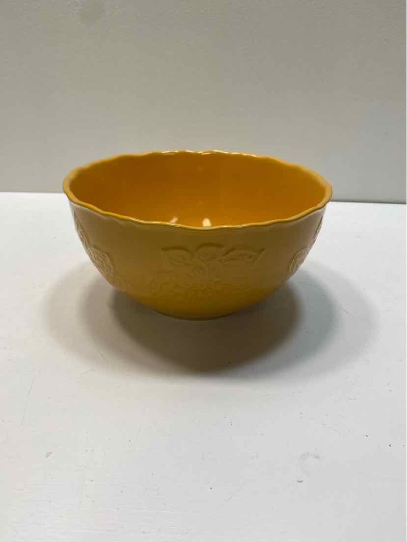 Pioneer woman BOWL