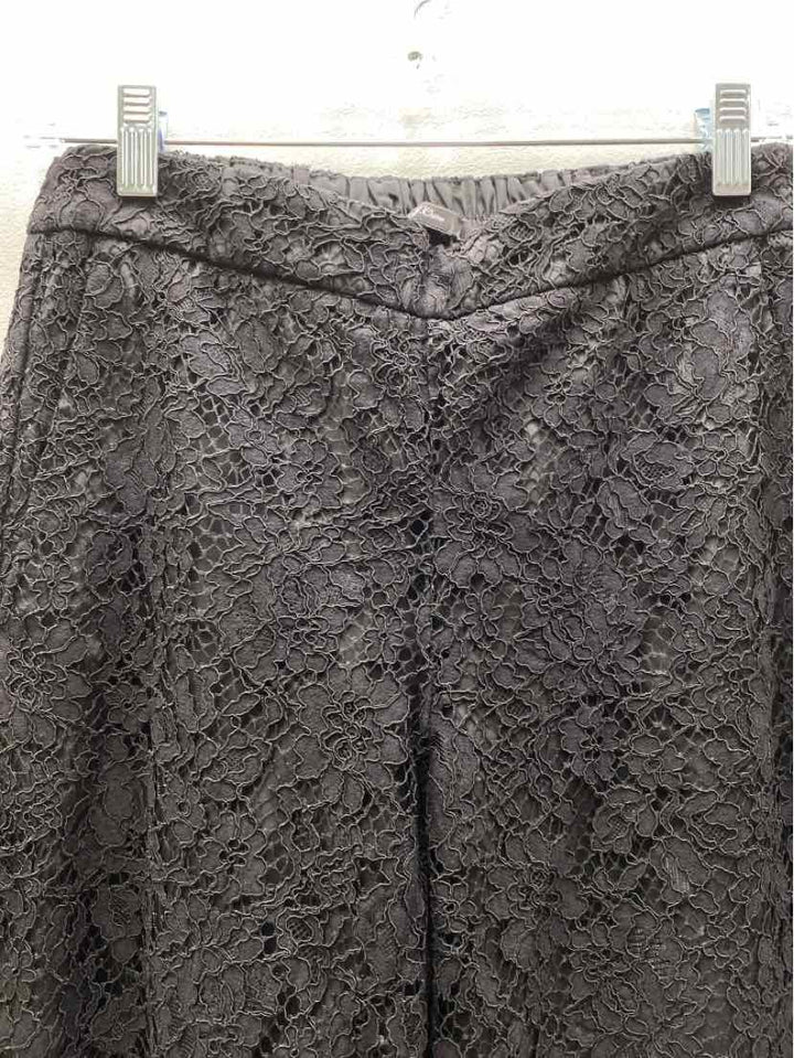 j crew Size 8P Pants