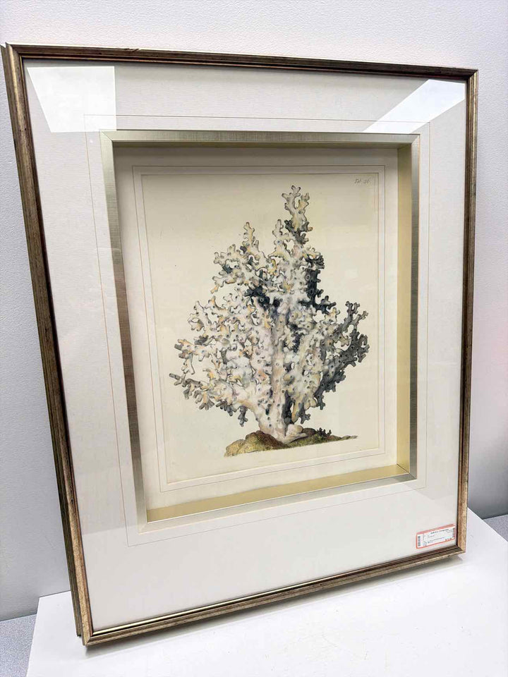 Mercana Framed Art