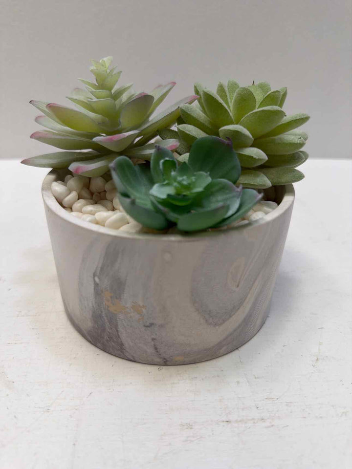 mikasa plant