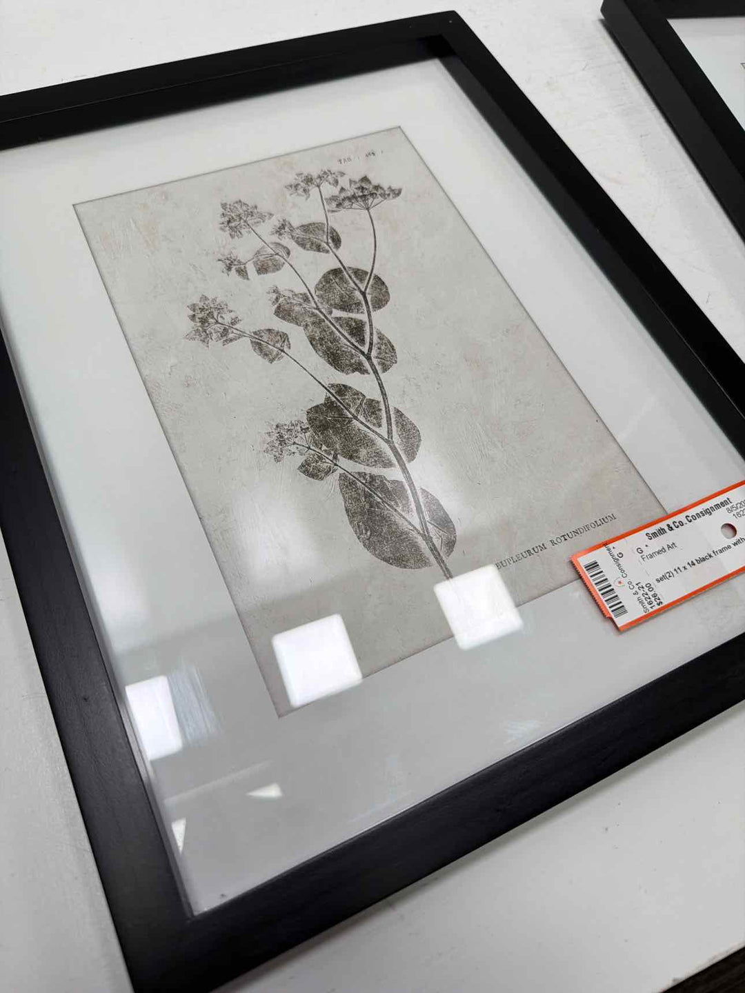Framed Art