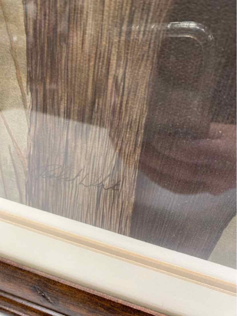 Framed Art