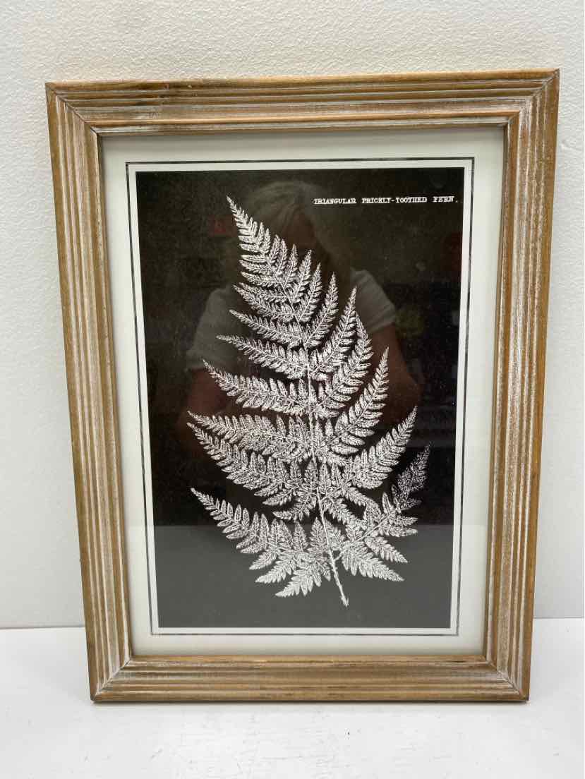 Spade Broom Framed Art