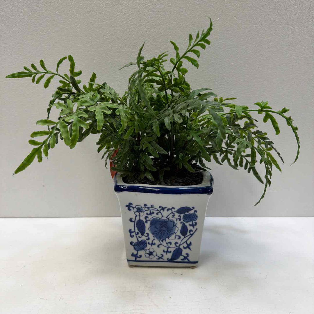 Garland/Greenery