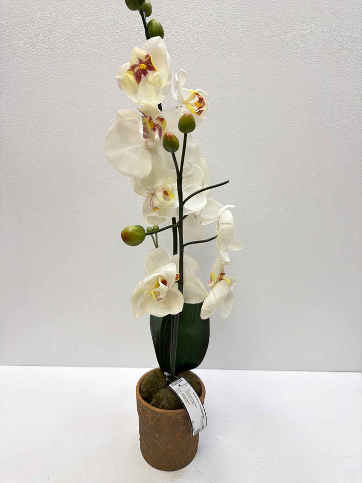 Threshold Floral Arrangement