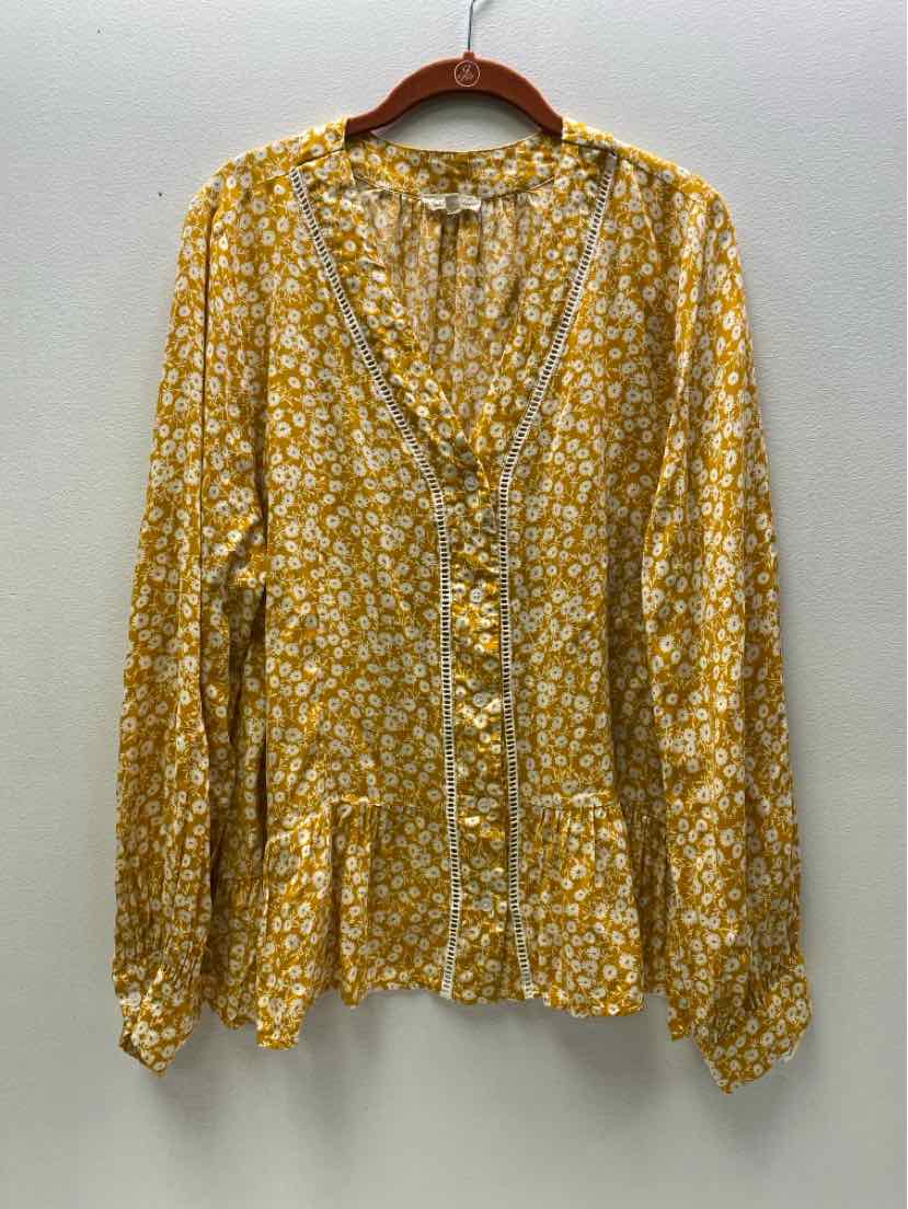 cotton bleu Size XL Blouse