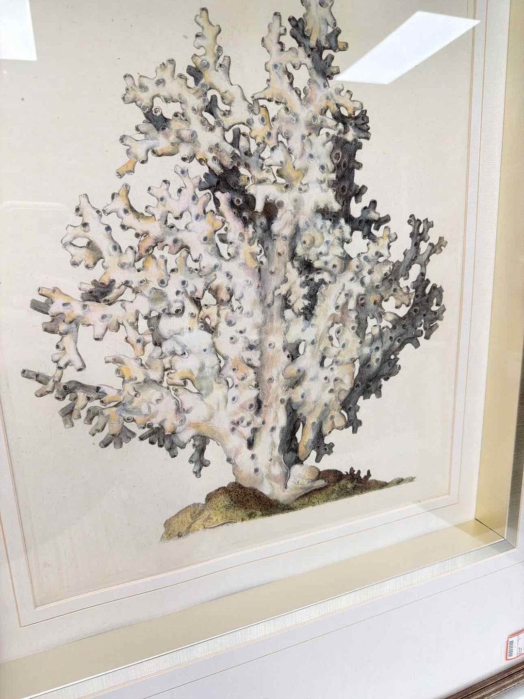 Mercana Framed Art