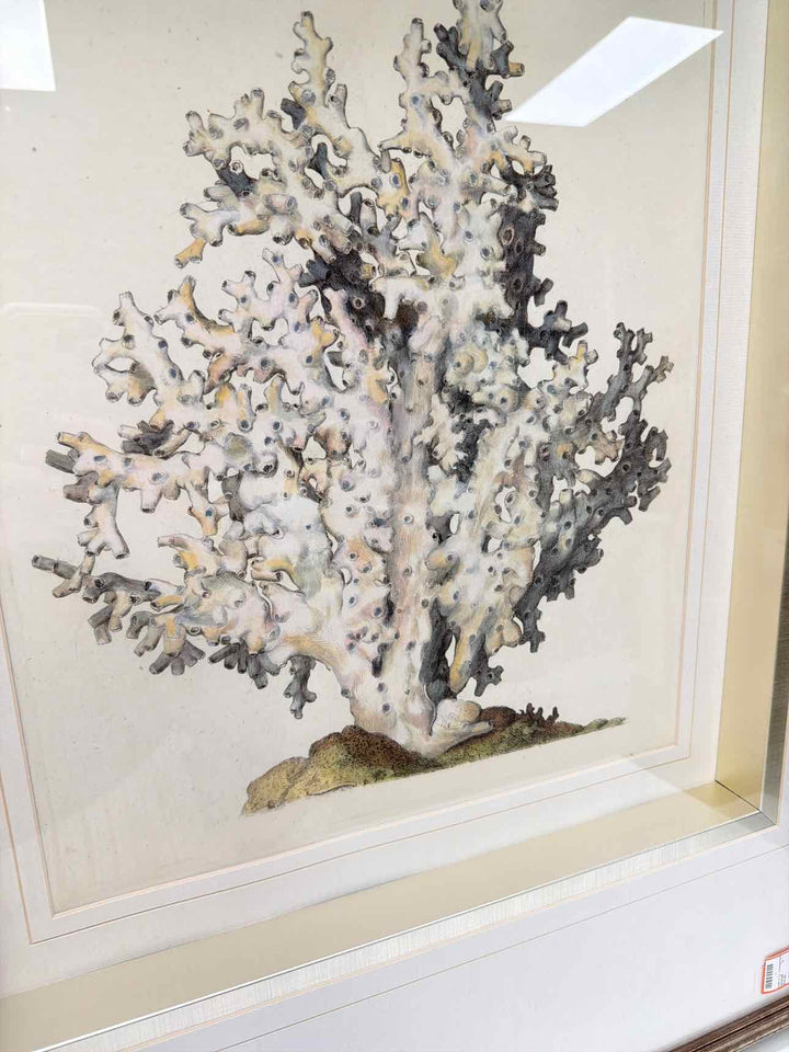 Mercana Framed Art