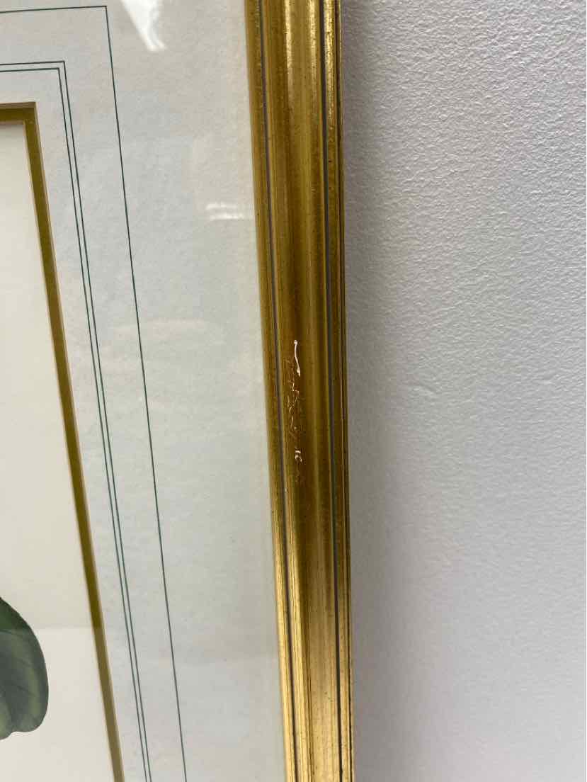 Framed Art