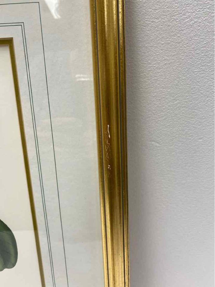 Framed Art