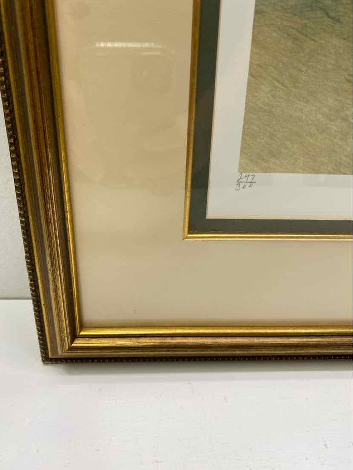 Framed Art