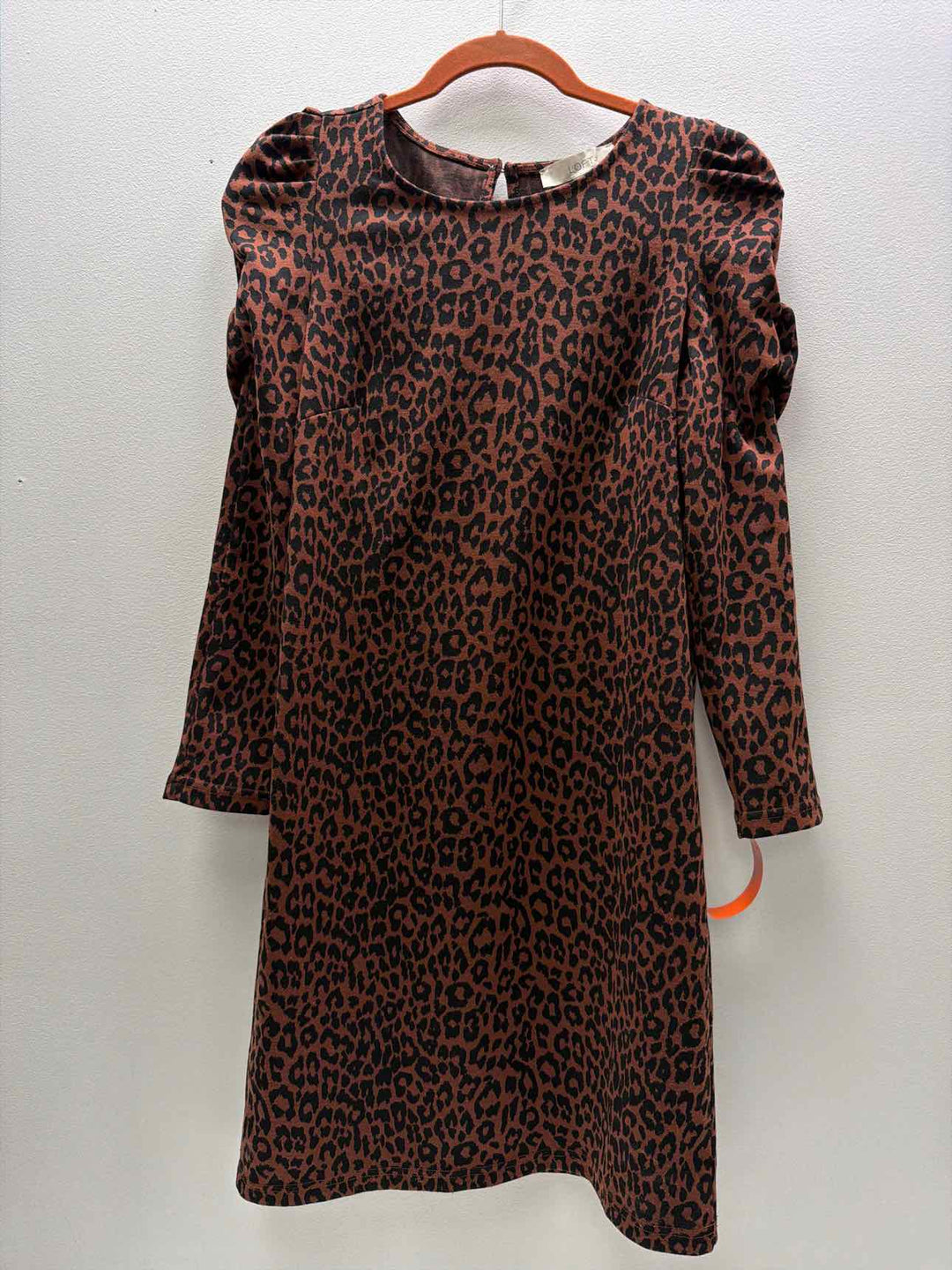 Loft Size XS Dress