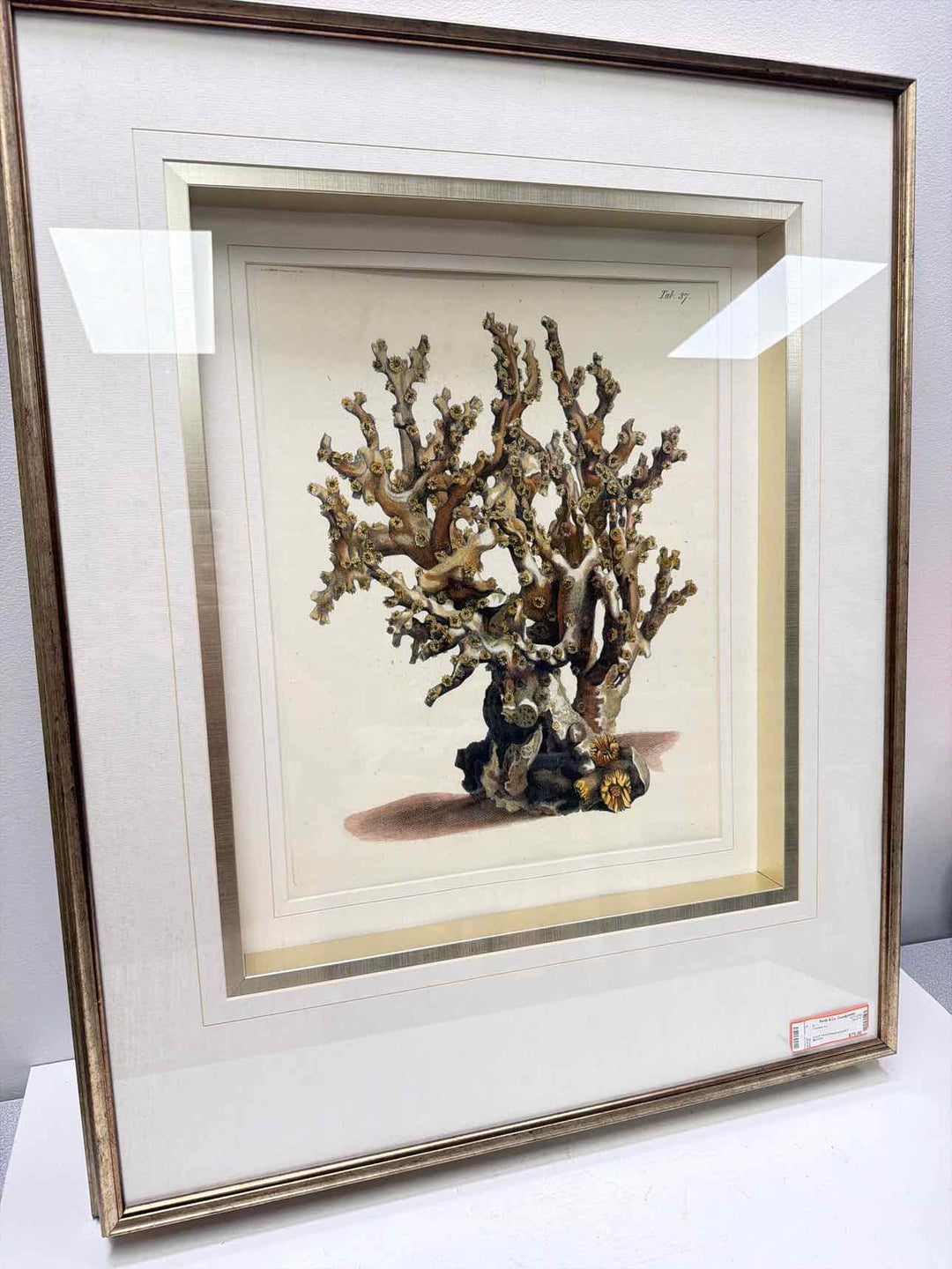 Mercana Framed Art