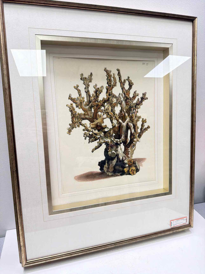 Mercana Framed Art