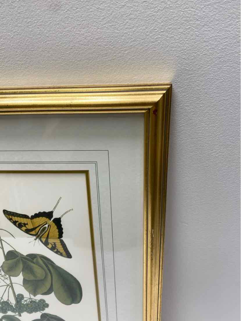 Framed Art