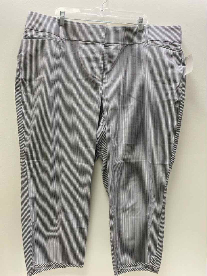 Lane Bryant Size 24 Misc. Pants