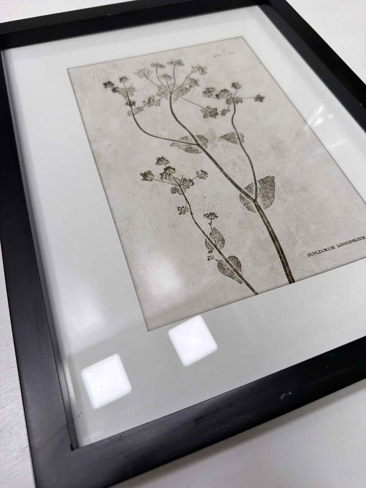 Framed Art