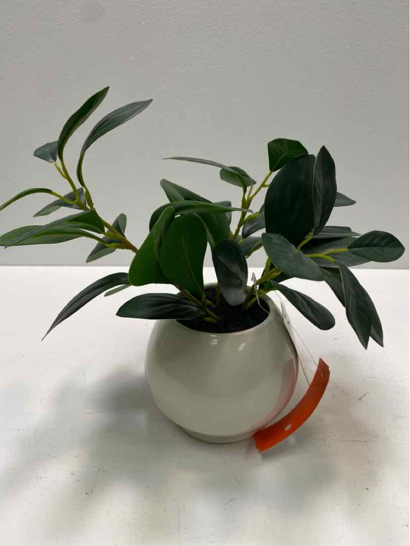 Garland/Greenery