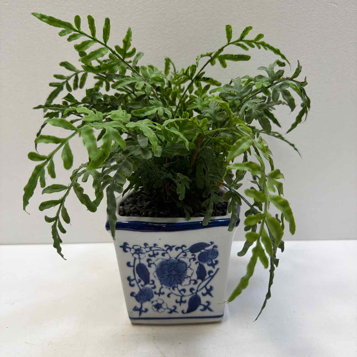 Garland/Greenery